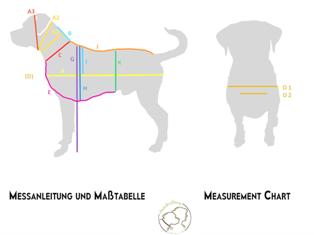 Hundsstern Messanleitung Hund | Dog Measurement Chart